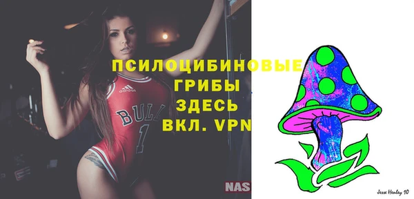 не бодяженный Алзамай